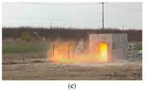 Greenewelty service application image 1